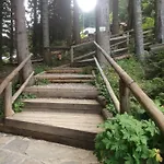 Malka Yurta Hut אכסניה פניצ'ישטה
