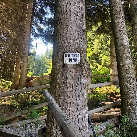 Malka Yurta Hut *