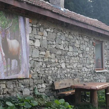 Lodge Malka Yurta Hut