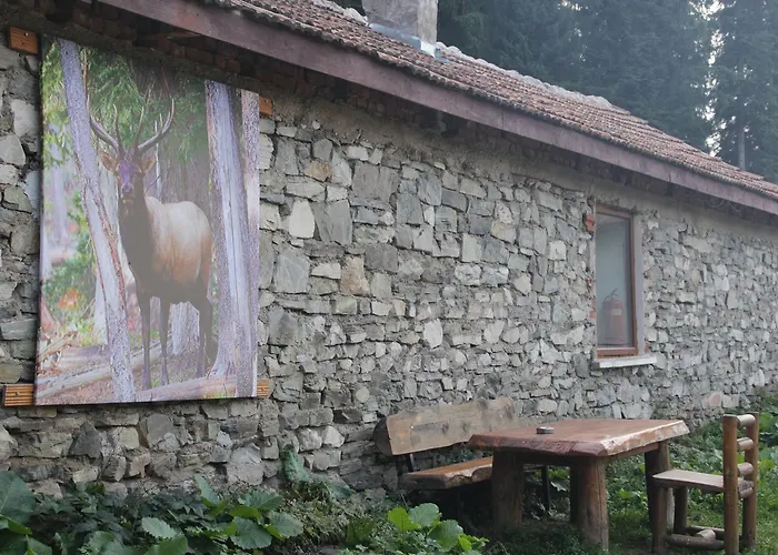 Hytte Malka Yurta Hut